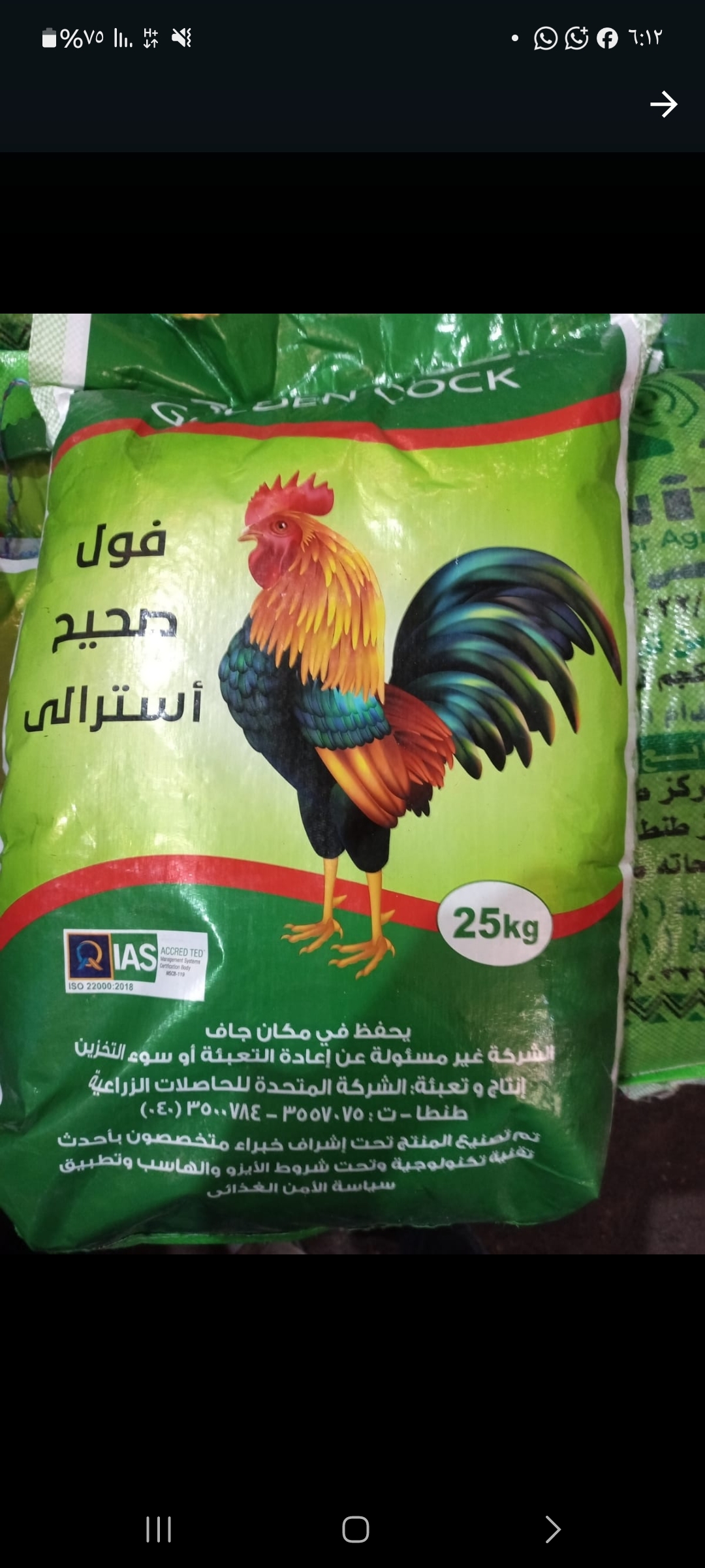 حصي استرالي الديك الذهبي25كج الاخضر